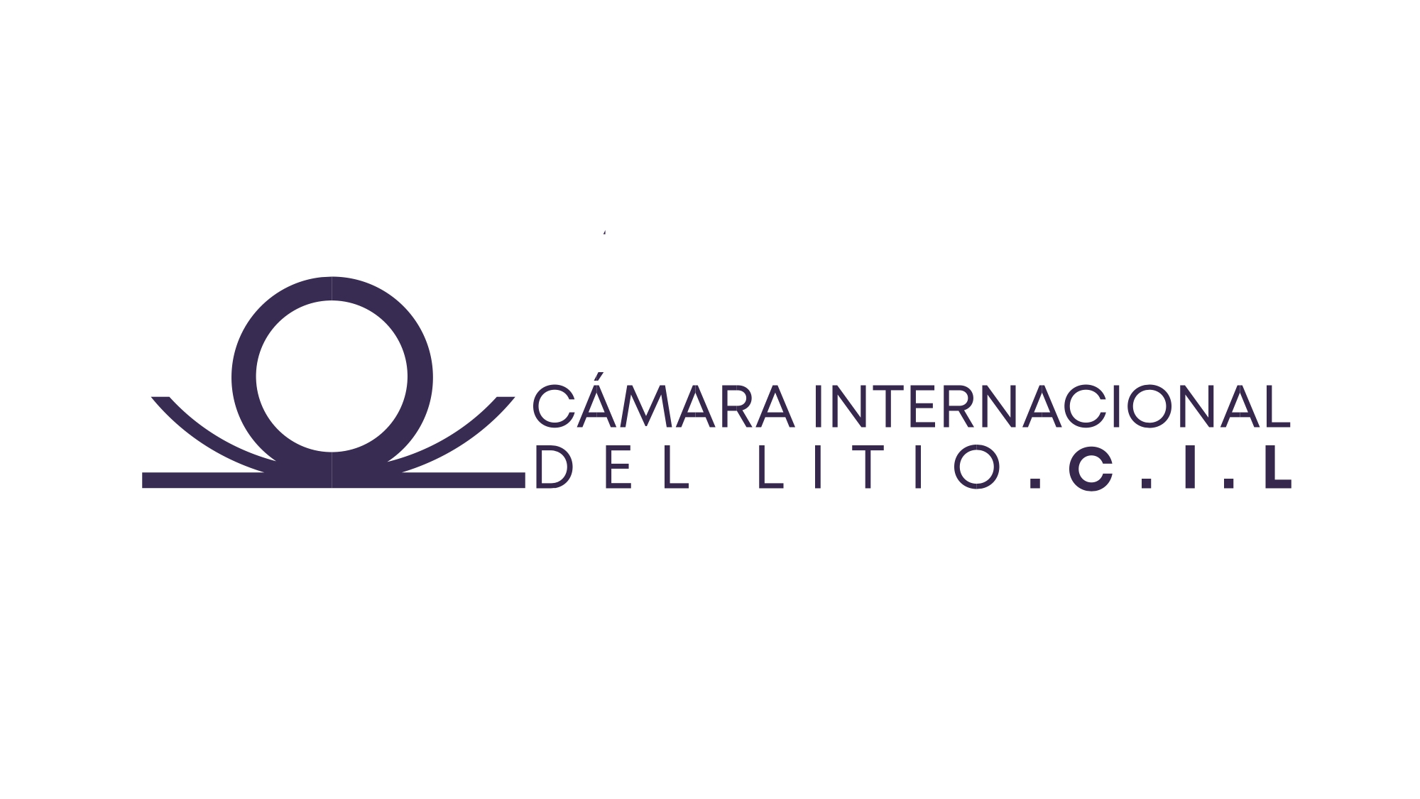 Camara Internacional del Litio